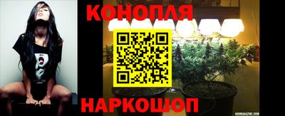 spice Бузулук